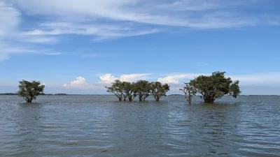 Haor Wetlands